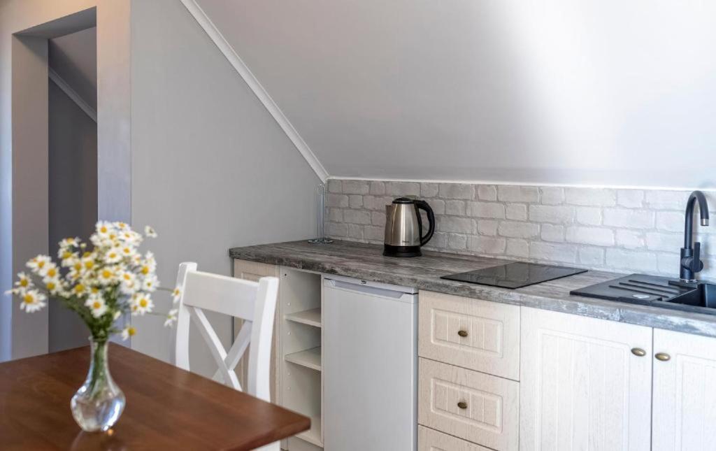 Bornholm Apartments 斯瓦尼克 外观 照片