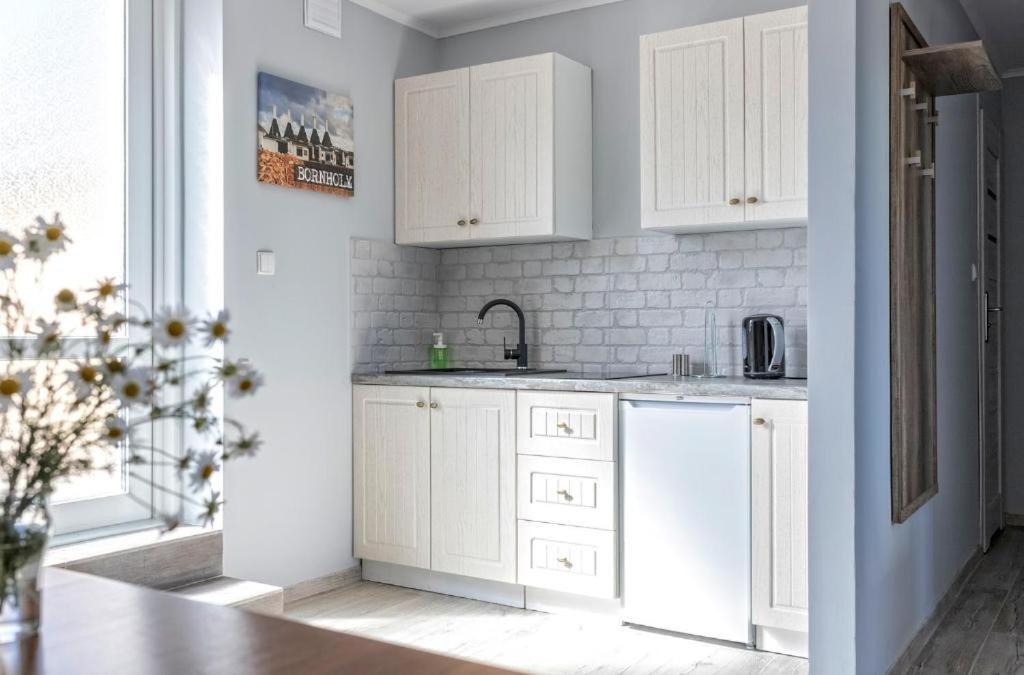 Bornholm Apartments 斯瓦尼克 外观 照片